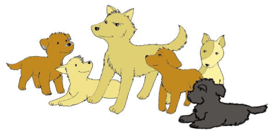 群れを作るの画像 群れを作るの画像