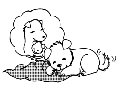 直前まで使っていたタオル・毛布等をもらって包んであげるか、箱等に敷いてあげるとよいでしょうの画像 直前まで使っていたタオル・毛布等をもらって包んであげるか、箱等に敷いてあげるとよいでしょうの画像