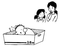 しばらくそっと休ませてあげましょうの画像 しばらくそっと休ませてあげましょうの画像