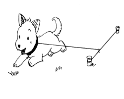 犬はつないで飼いましょう 画像 犬はつないで飼いましょう 画像