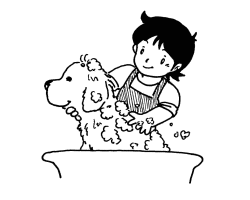 薬剤シャンプー等で洗浄し駆除しましょうの画像 薬剤シャンプー等で洗浄し駆除しましょうの画像