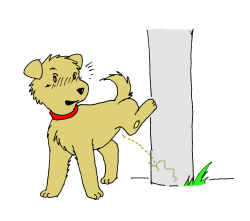 電柱におしっこ!の画像 電柱におしっこ!の画像