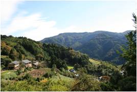 林道草喰八丁河原線様子写真