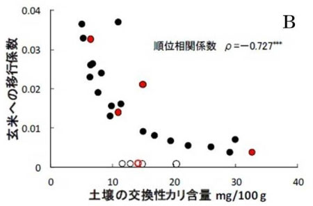 図1B 農研機構プレスリリース「玄米の放射性セシウム低減のためのカリ施用」から引用 図1B 農研機構プレスリリース「玄米の放射性セシウム低減のためのカリ施用」から引用