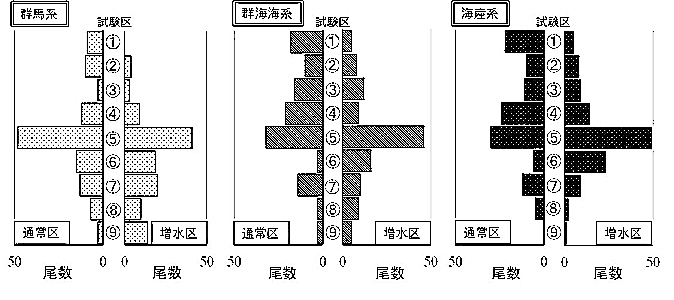 人工水路を用いた増水試験の結果画像