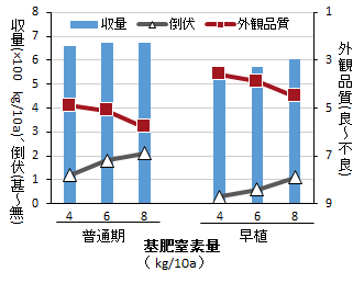 基肥窒素量と倒伏、外観品質の関係のグラフ画像