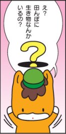 どろんっ子新聞7－4画像