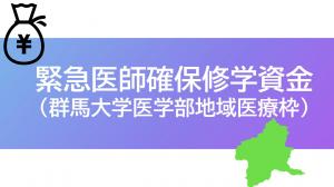 緊急医師確保修学資金の画像