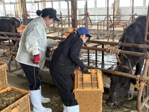 2年生が1年生に和牛の飼料給与について教えています。写真